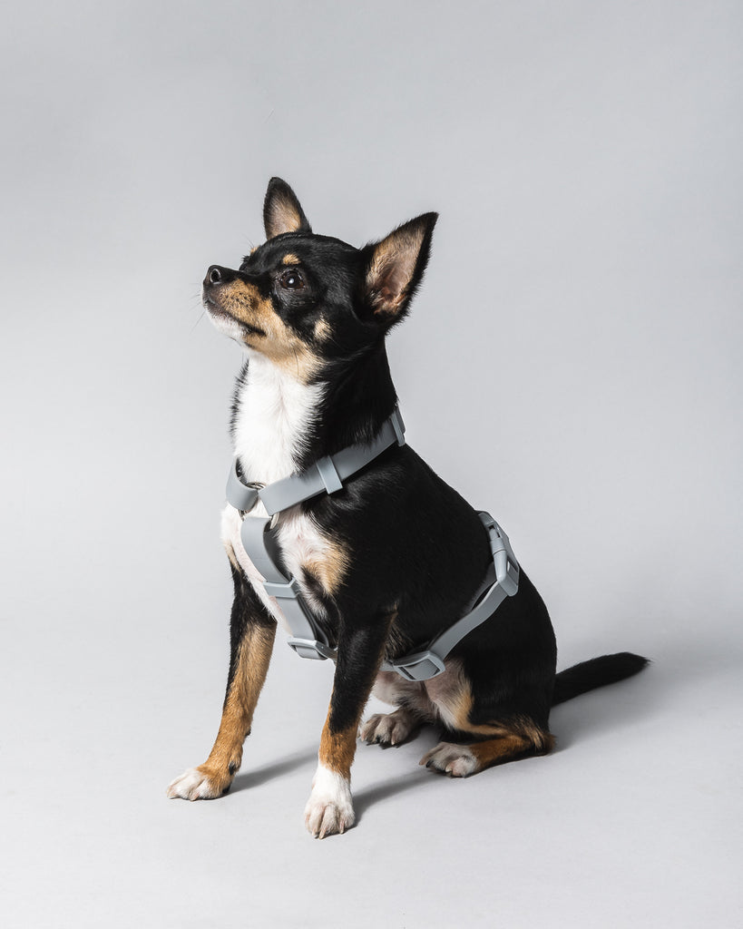 Weatherproof Dog Harness - The Happy Floof