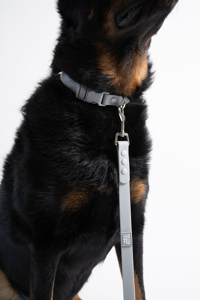 Weatherproof Dog Leash - The Happy Floof