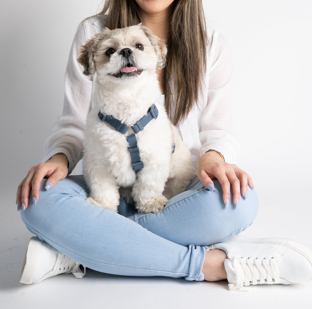 Weatherproof Dog Harness - The Happy Floof