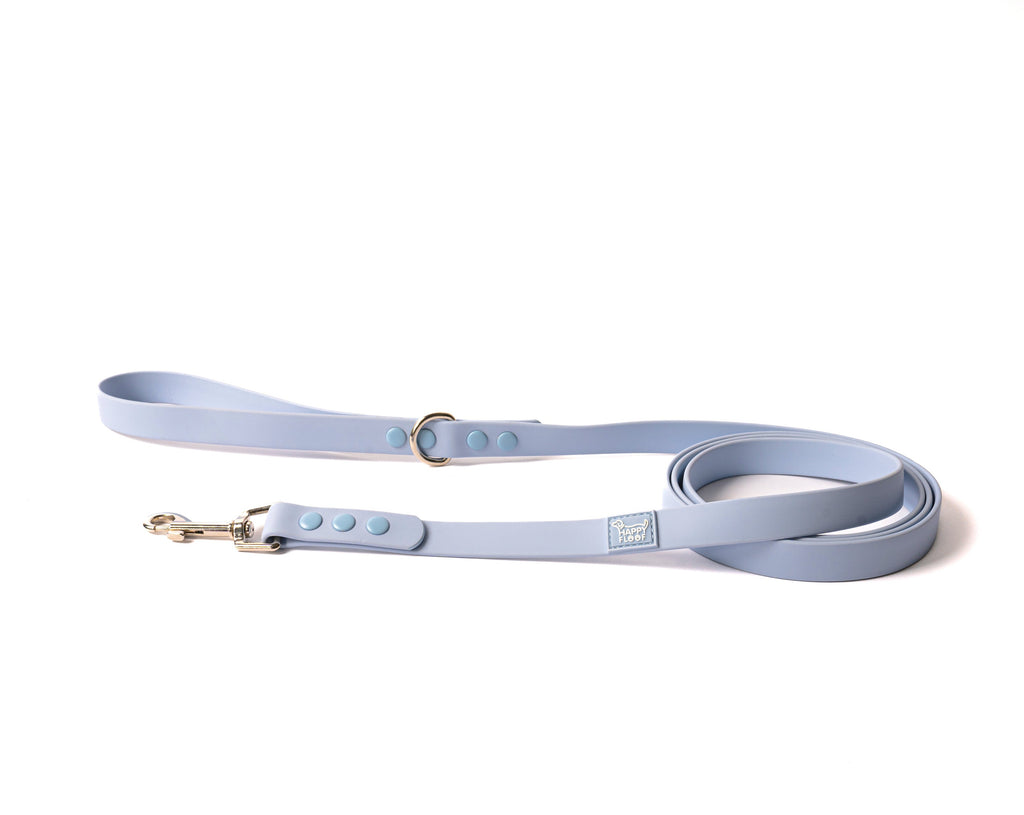 Weatherproof Dog Leash - The Happy Floof