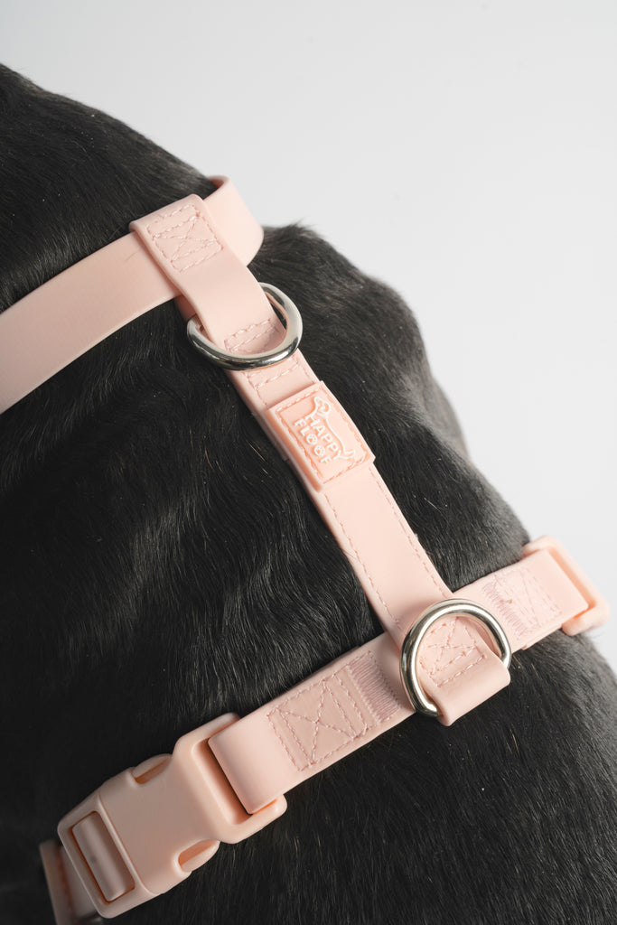 Weatherproof Dog Harness - The Happy Floof