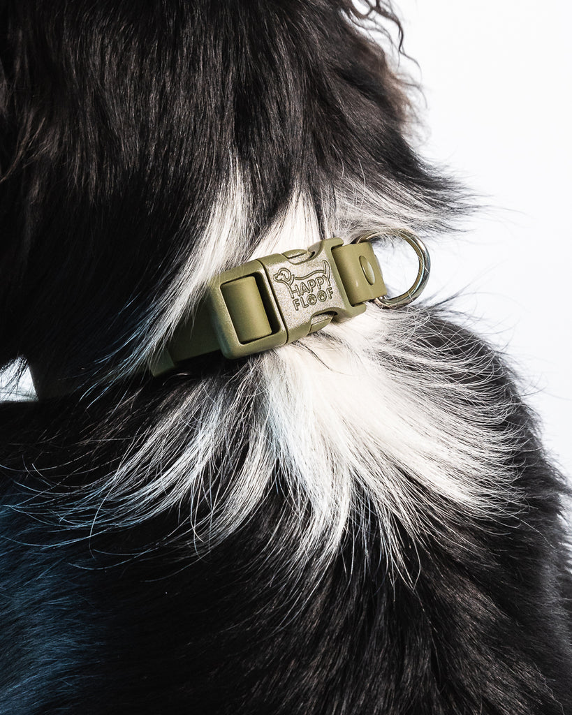 Weatherproof Dog Collar - The Happy Floof