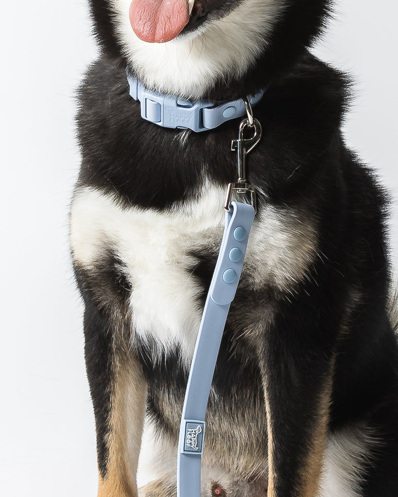 Weatherproof Dog Leash - The Happy Floof