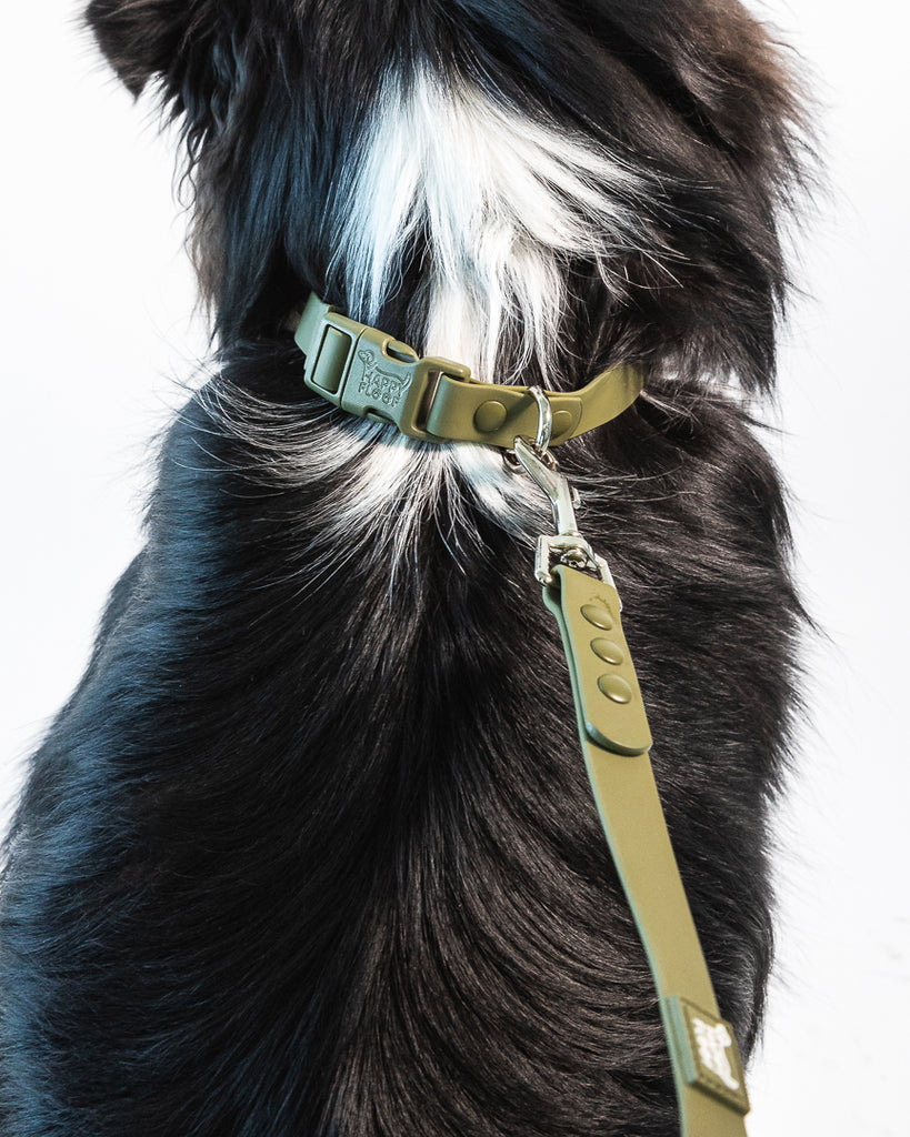 Weatherproof Dog Collar - The Happy Floof