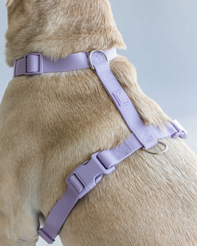 Weatherproof Dog Harness - The Happy Floof