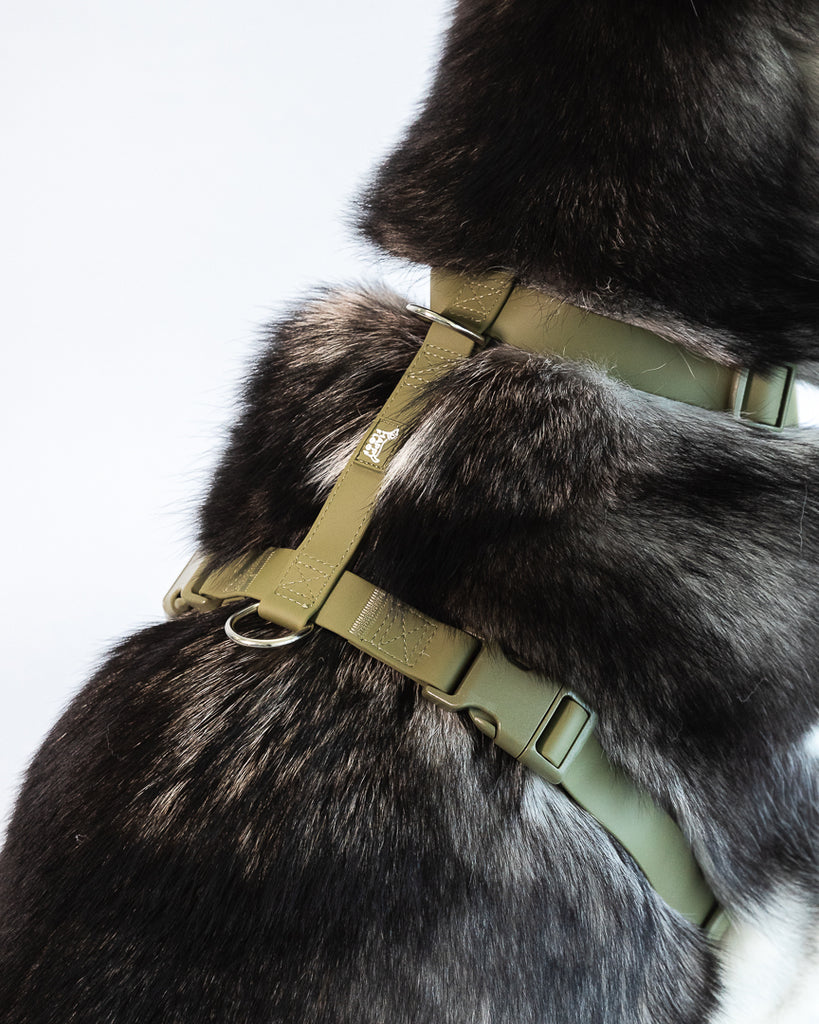 Weatherproof Dog Harness - The Happy Floof