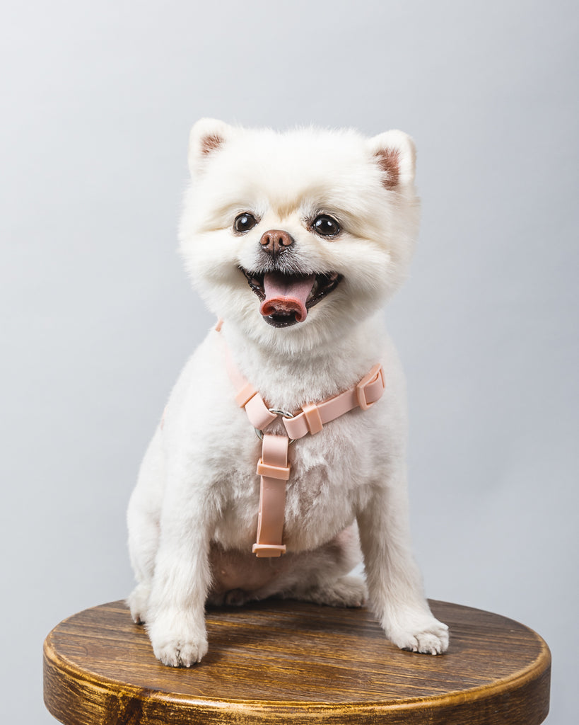 Weatherproof Dog Harness - The Happy Floof