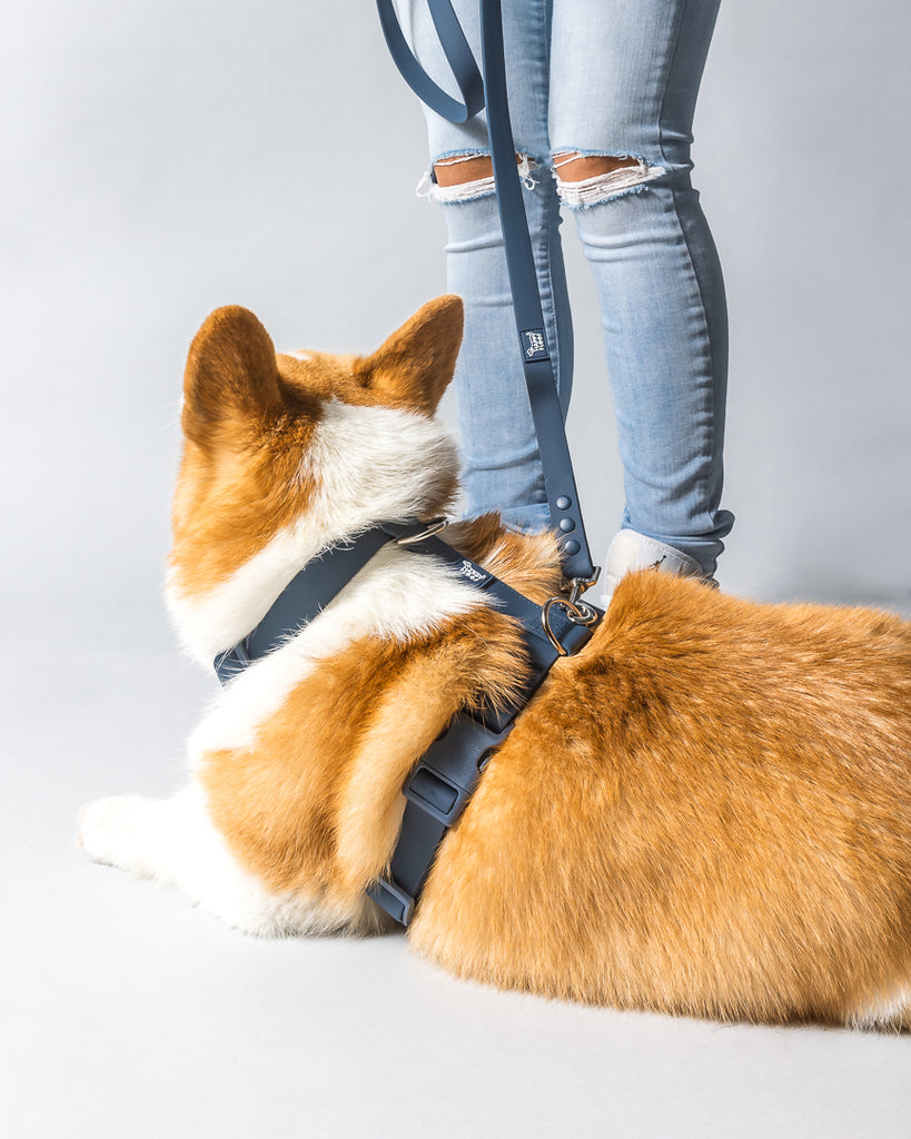 Weatherproof Dog Harness - The Happy Floof
