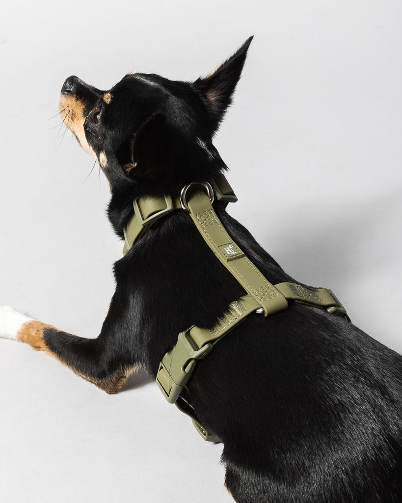 Weatherproof Dog Harness - The Happy Floof