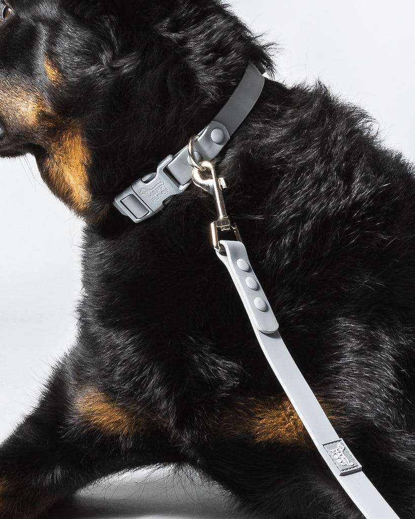 Weatherproof Dog Collar - The Happy Floof