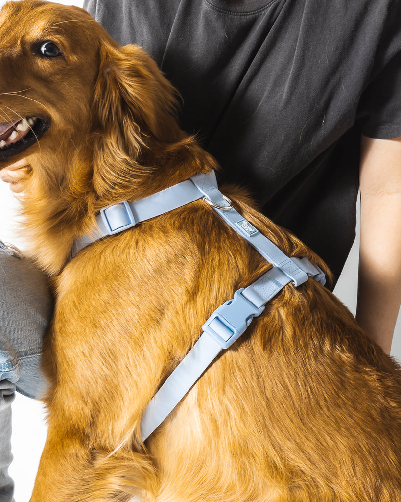 Weatherproof Dog Harness - The Happy Floof